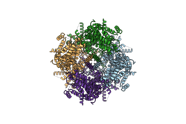 8SL8 image