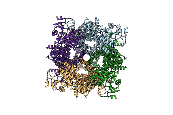 8SLE image