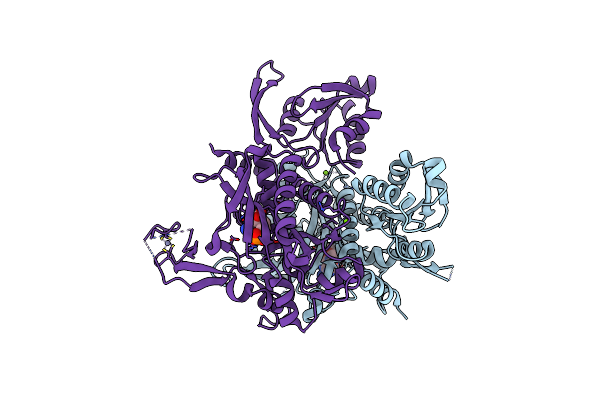 8SLF image
