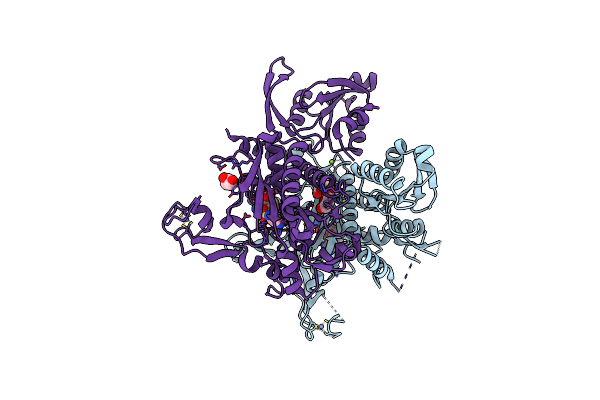 8SLG image