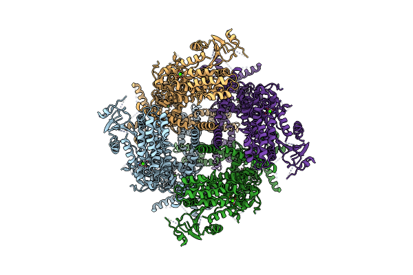 8SLI image