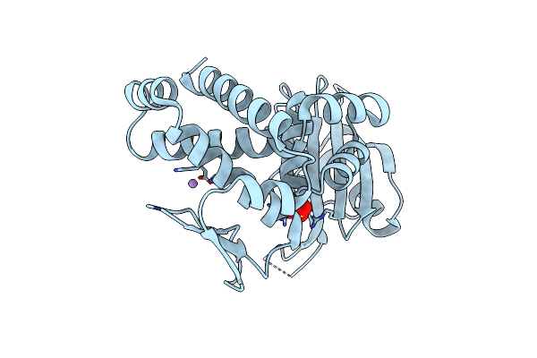 8SLM image