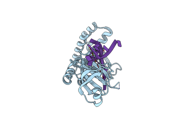 8SLN image