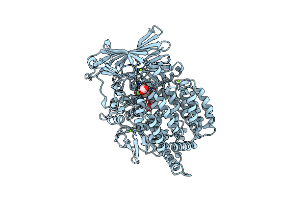 8SLO image