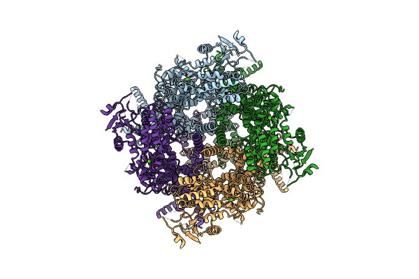 8SLP image
