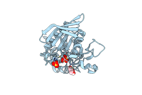 8SLS image