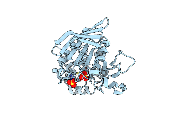 8SLT image