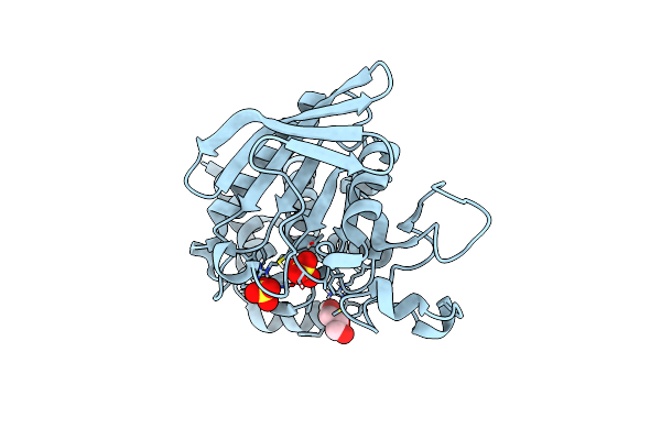 8SLU image