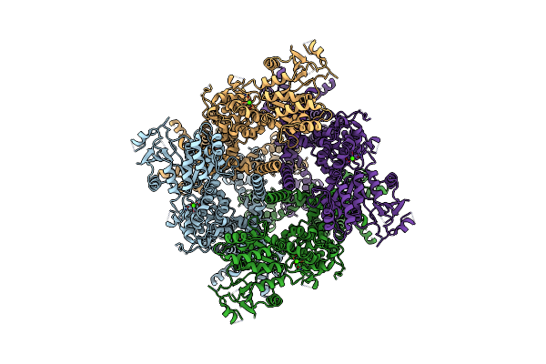 8SLW image