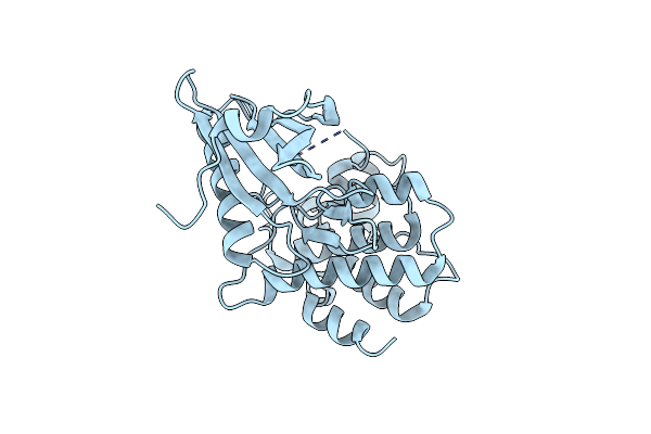 8SLZ image