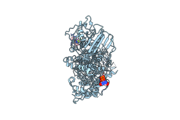 8SMC image
