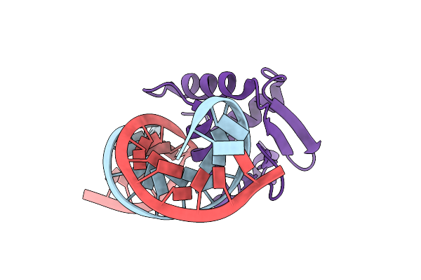 8SMJ image