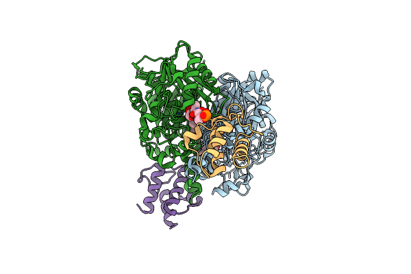 8SMS image