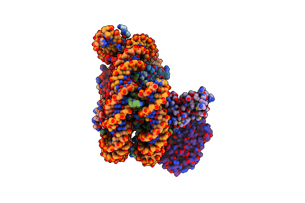 8SN2 image