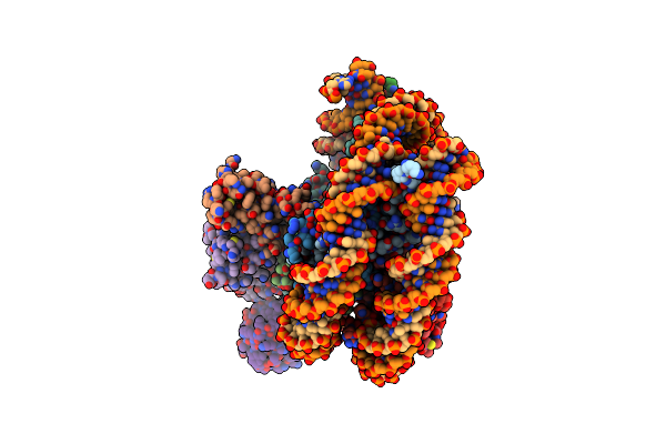 8SN7 image