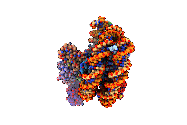 8SN8 image