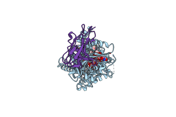 8SNE image