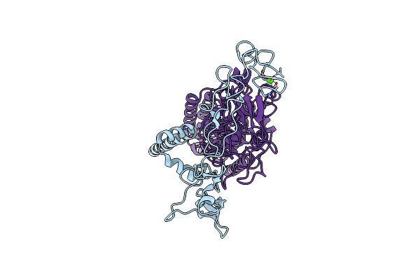 8SNN image