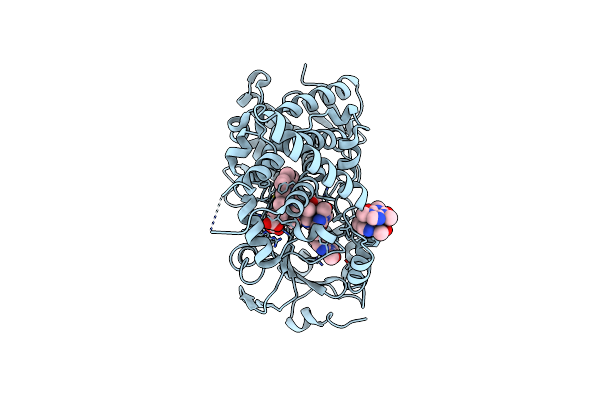8SO2 image