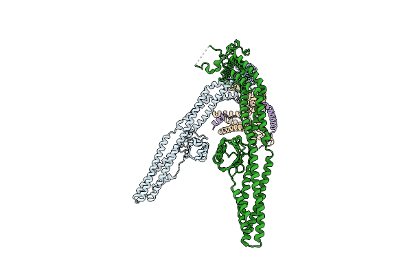 8SOI image