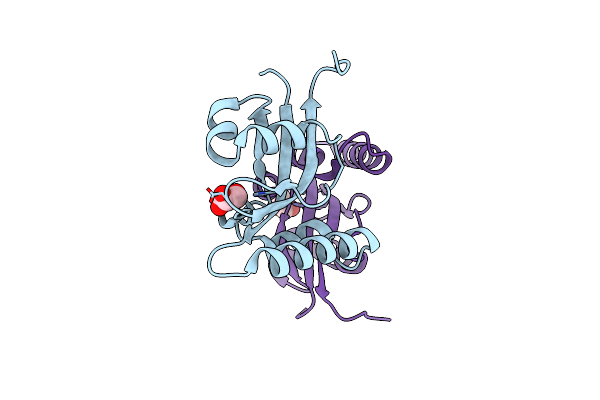 8SOT image