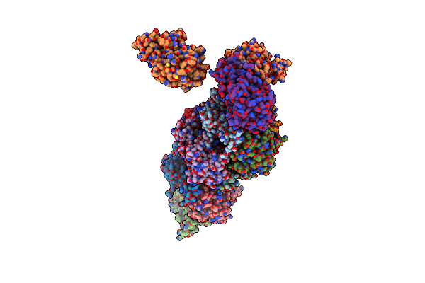 8SP2 image
