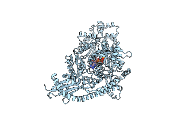 8SP4 image