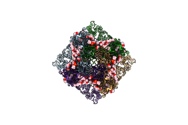 8SP8 image