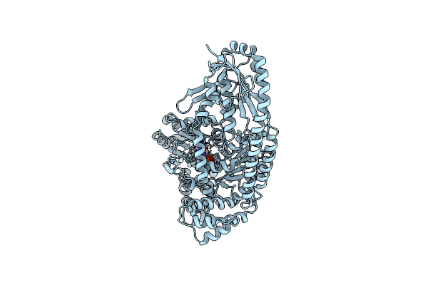 8SPG image