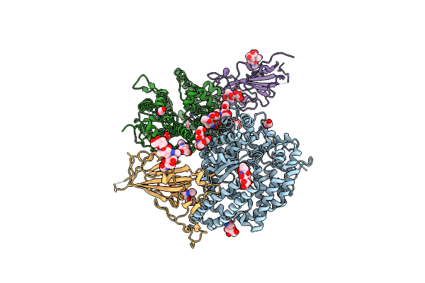 8SPH image