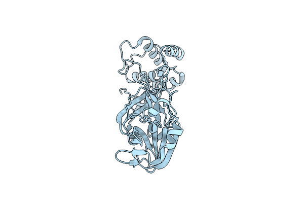 8SPJ image