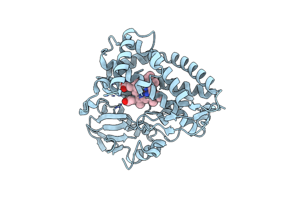 8SPP image