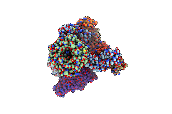 8SPR image