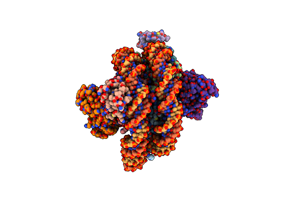 8SPS image