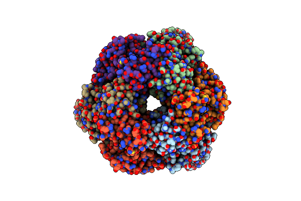 8SPV image