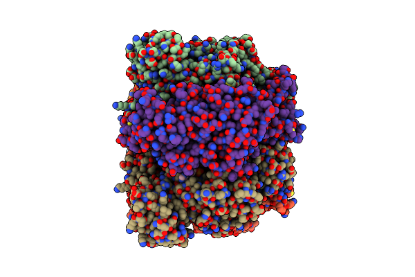 8SPX image
