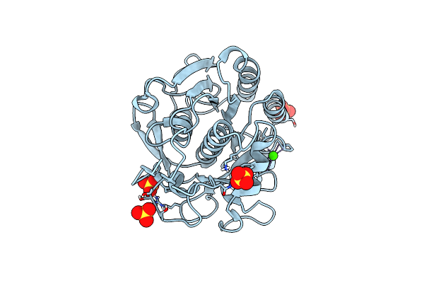8SQV image