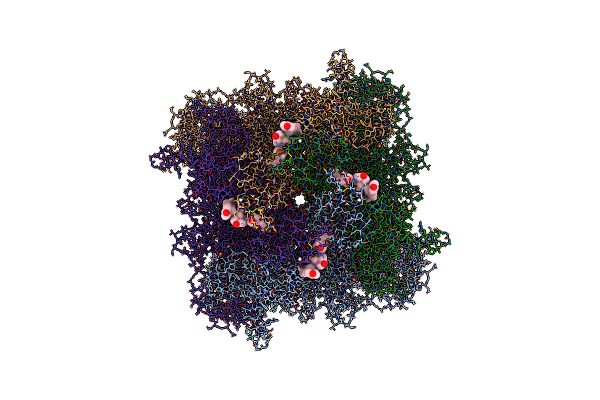 8SRD image