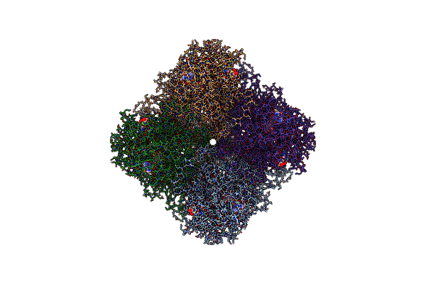 8SRE image