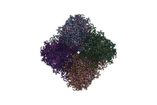 8SRF image