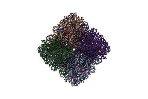 8SRG image