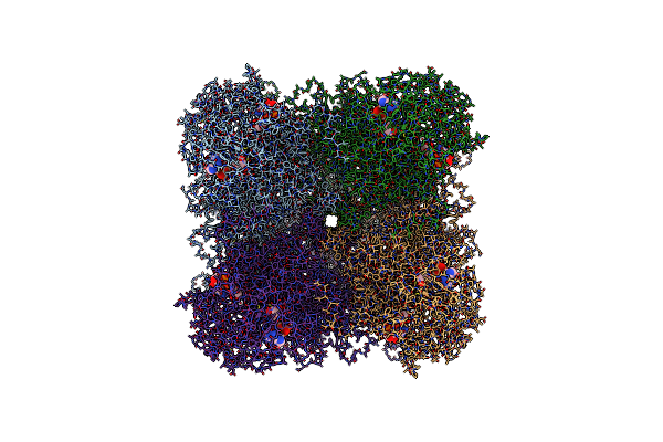 8SRH image