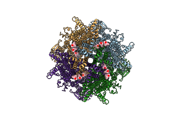 8SRJ image