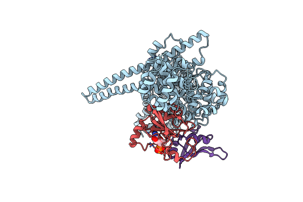 8SRR image