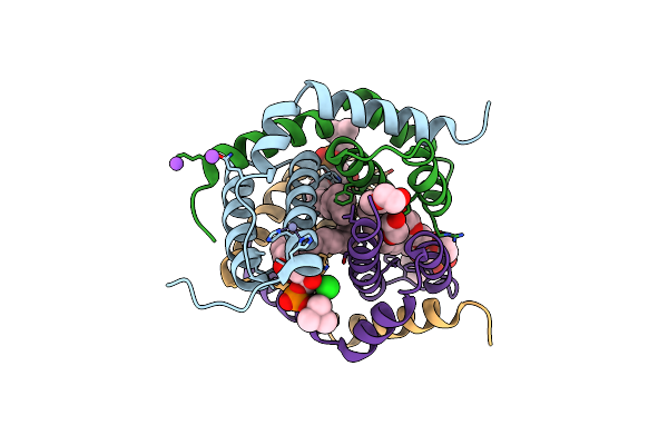 8SRX image