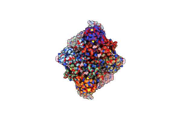 8SS2 image