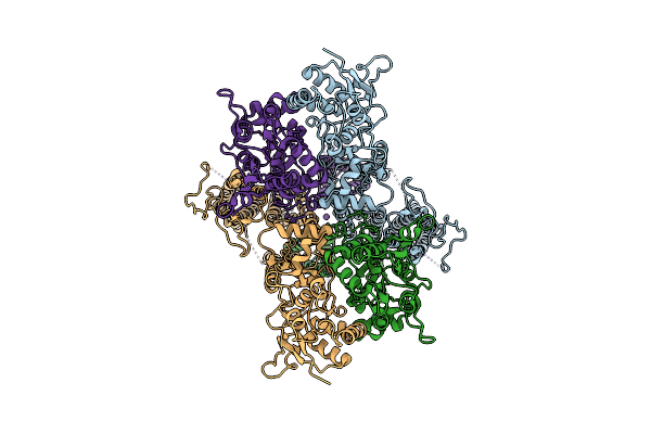 8SS5 image