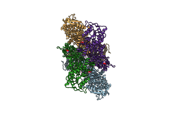 8SS8 image