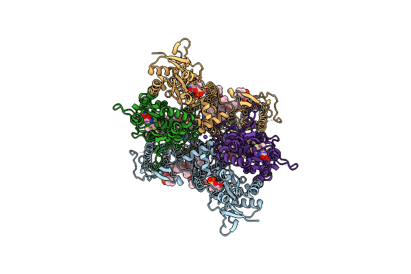 8SS9 image