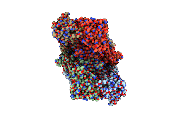 8SSA image